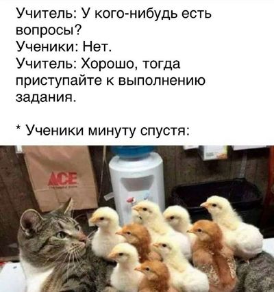 Post media