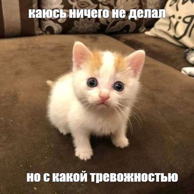 Post media
