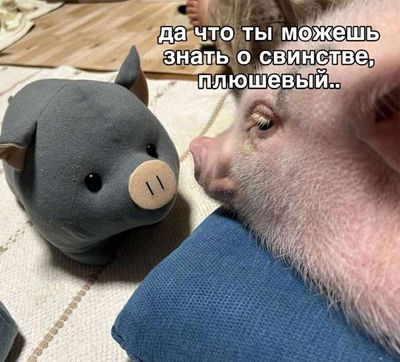 Post media