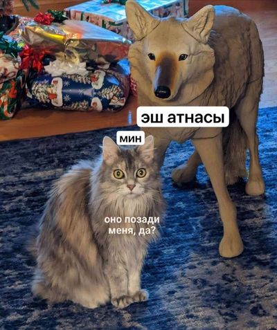 Post media
