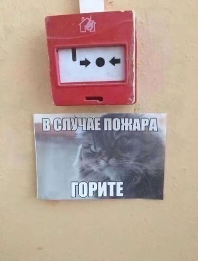 Post media
