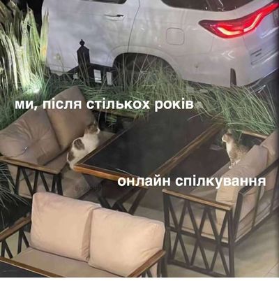 Post media