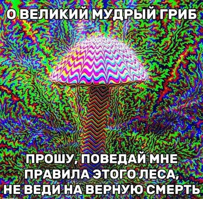 Post media
