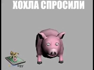 Post media