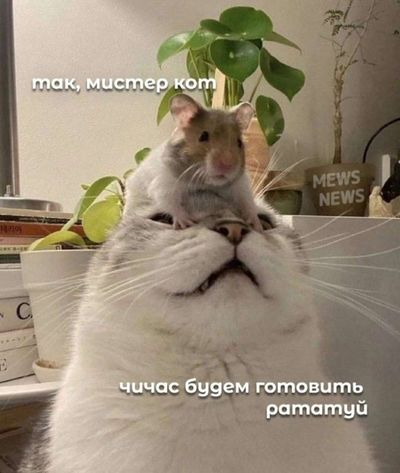 Post media