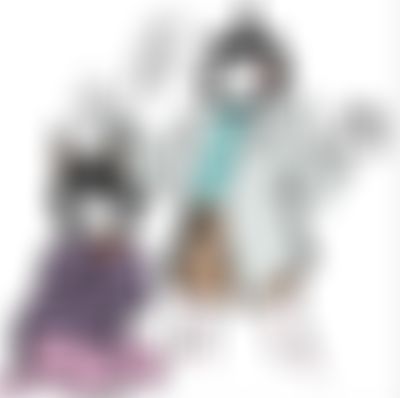 Post media background