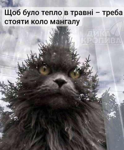 Post media