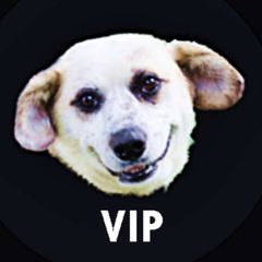 DOGOLACHAN⚡️VIP⚡️ avatar