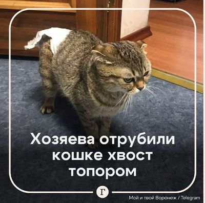 Post media