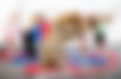 Post media background