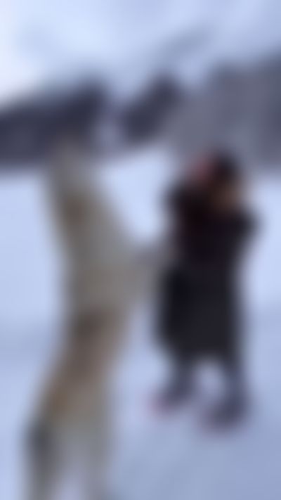 Post media background