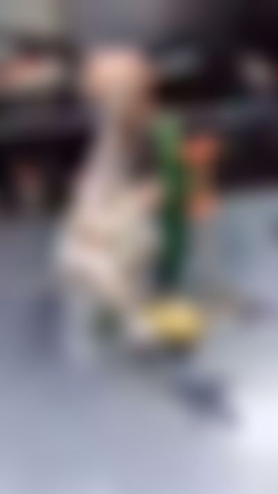 Post media background