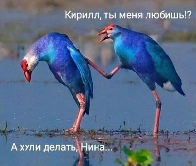 Post media