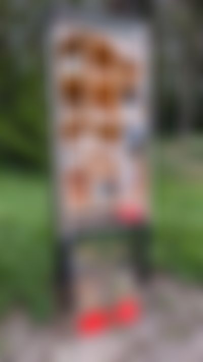 Post media background