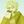 𝖳𝗐𝖾𝖾𝗄 𝖳𝗐𝖾𝖺𝗄 𝖼𝖿 + 𝗇𝗈𝗇 𝖽𝖺𝗂𝗅𝗒 avatar