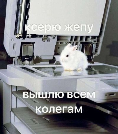 Post media