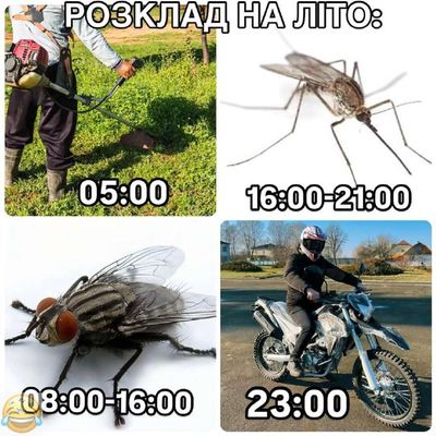 Post media