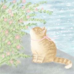 WORDING BIO IDEAST avatar