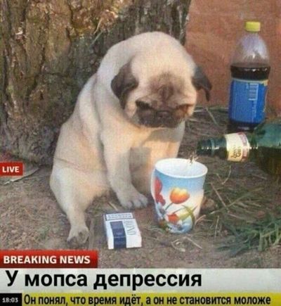 Post media