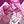 [🪽🍒] Hollysugar confession avatar