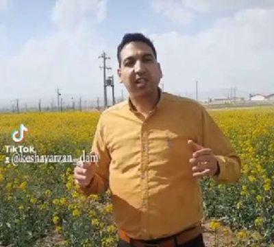 Post media