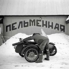 Цирк, пельменная и синагога avatar