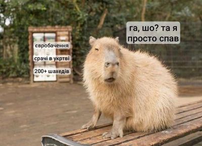 Post media