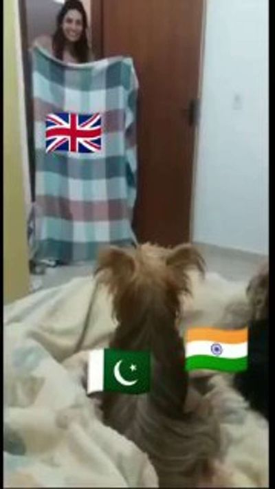 Post media