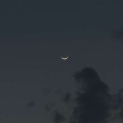 "𝙎𝙚𝙡𝙚𝙣𝙤𝙥𝙝𝙞𝙡𝙚🌙" avatar