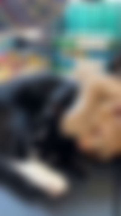 Post media background
