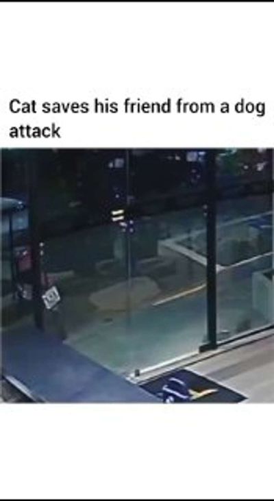 Post media
