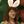 ⋆BaconEggsCheese⋆ avatar