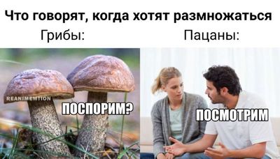 Post media