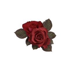 School of Roses.com | сетка по ДВ avatar