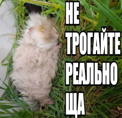 Post media