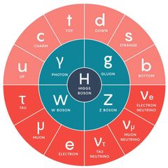 Particle Physics avatar
