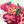 HOLLYBERRY confession+(non)daily! avatar