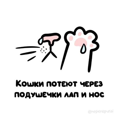 Post media