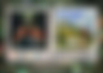 Post media background