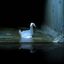 prison break confession Avatar