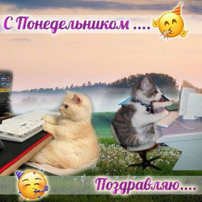 Post media