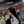 Guess Yeji avatar