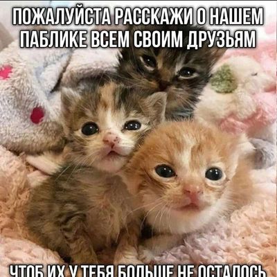 Post media