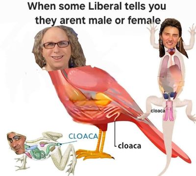 Post media