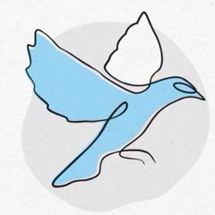 مرکز درمانی-آموزشی خانه مینا avatar