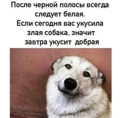 Post media