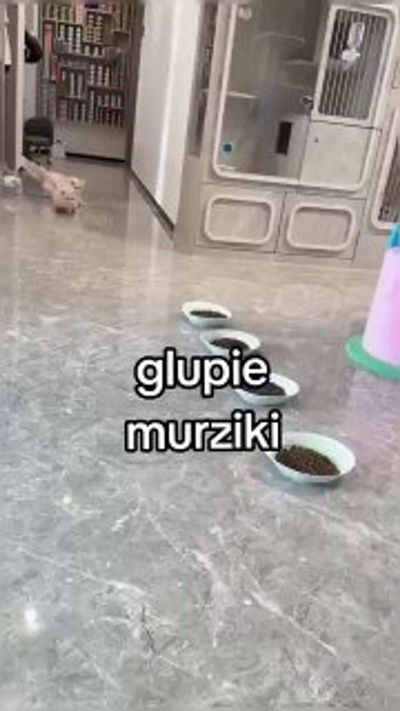 Post media