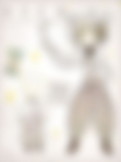 Post media background
