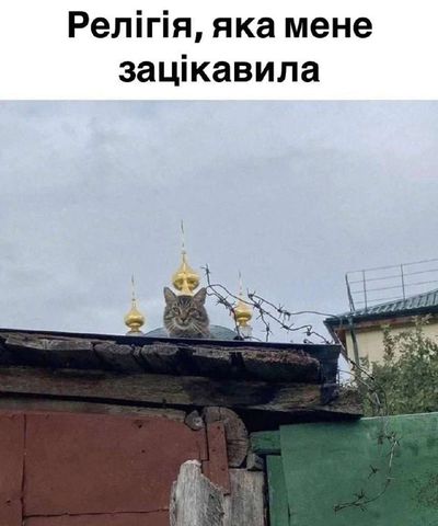 Post media