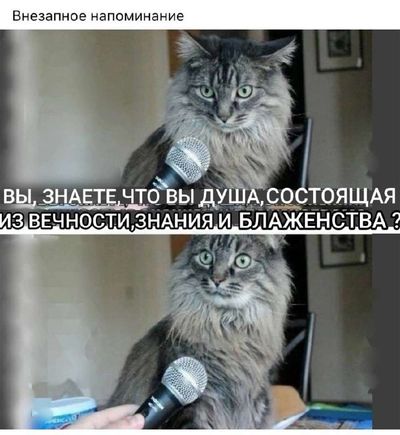 Post media